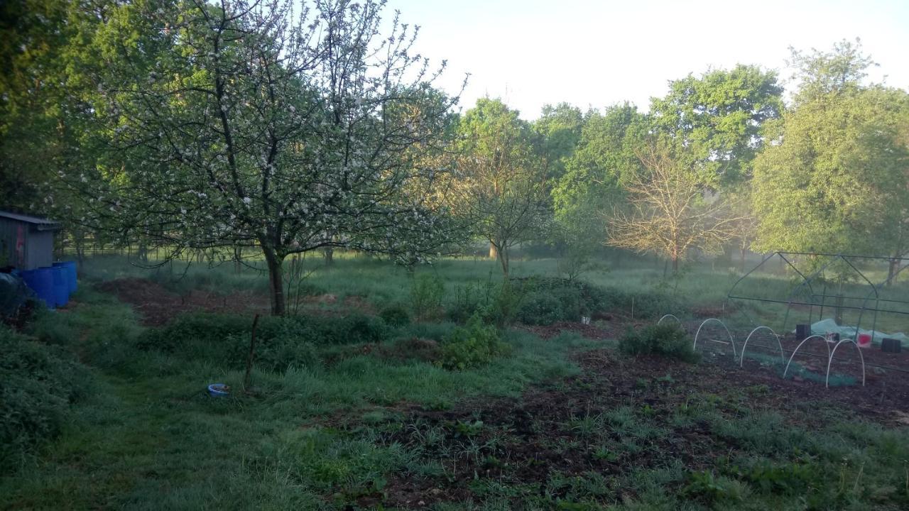 La Roulotte Chainoux Bains-sur-Oust Екстер'єр фото